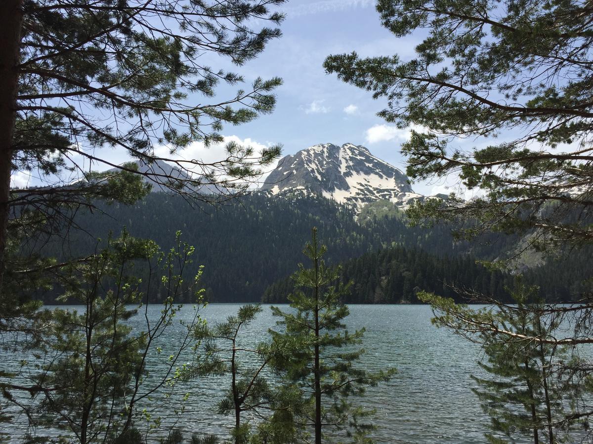 Villa Moutain View Žabljak エクステリア 写真