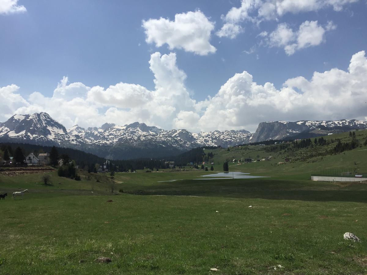 Villa Moutain View Žabljak エクステリア 写真